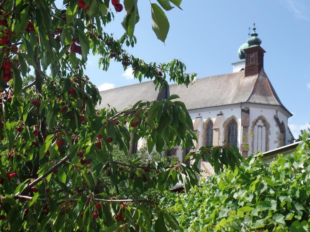 Penzion Oaza Levoča Exterior foto